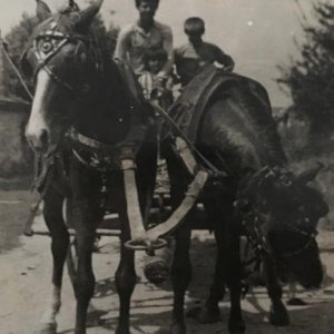 At Arabasında Abdullah Çiftçi