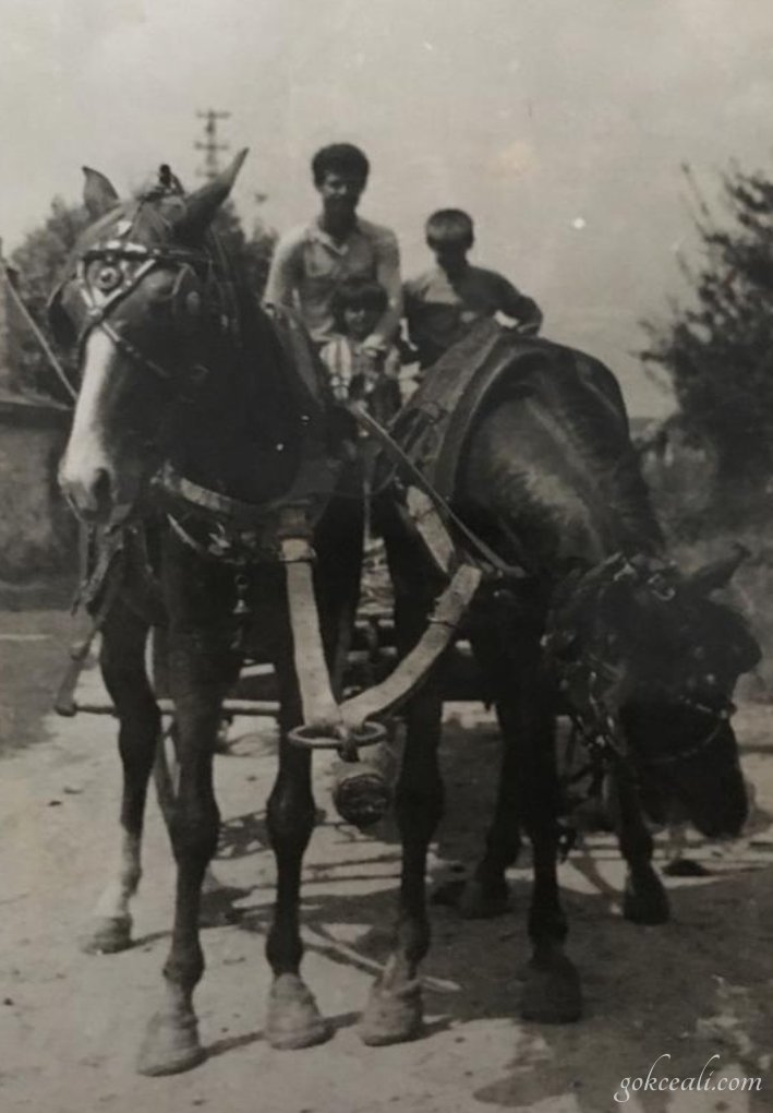 At Arabasında Abdullah Çiftçi